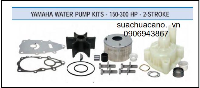 Bộ bơm nước máy xuồng, cano Yamaha 115-300 Hp